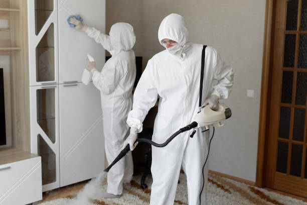 Home Mold Removal in Auburn, NY