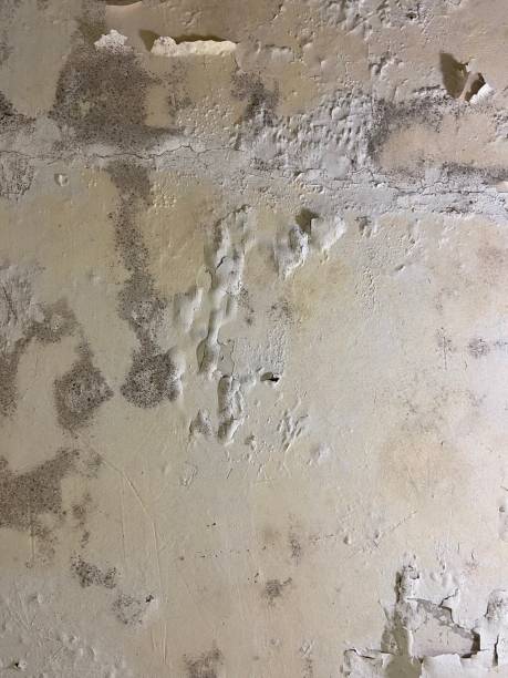 Water Damage Restoration in Auburn, NY